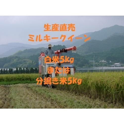 5kg ×１袋 令和５年産新米ミルキークイーン 白米または分搗き米 分搗き米 クリーン白米（無洗米）対応