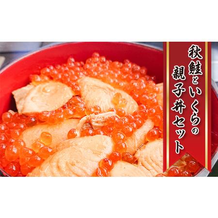 ふるさと納税 秋鮭といくらの親子丼セット(甘塩秋鮭切身1切 約100g×4切、いくら醤油漬け200g×2個) 北海道洞爺湖町