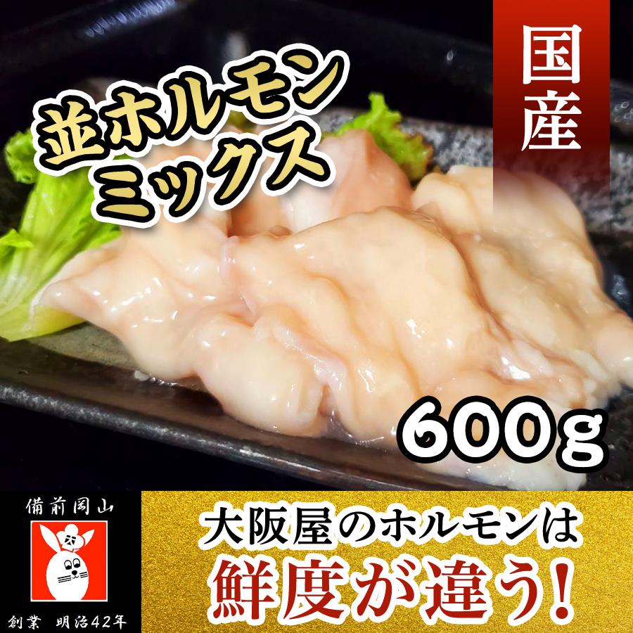 並ホルモン（ミックス）６００ｇ 焼肉 バーベキュー  新鮮 贈答