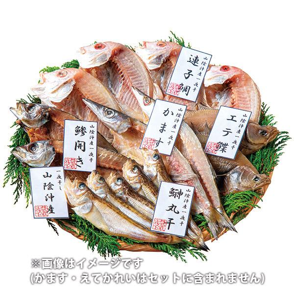 お歳暮 御歳暮 2023 魚介 干物 ギフト 山陰海鮮 一夜干し セット 魚 焼魚 切り身 海産物 水産 海鮮 食品 グルメ 食べ物