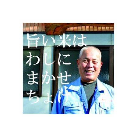 ふるさと納税 安来のお米こりゃう米（まい）玄米 5kg×3回（毎月）［令和5年産 新米］ 島根県安来市