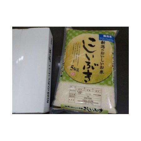 ふるさと納税 令和5年産新米柏崎産 こしいぶき 無洗米 5kg×3回（計 15kg） [F230] 新潟県柏崎市