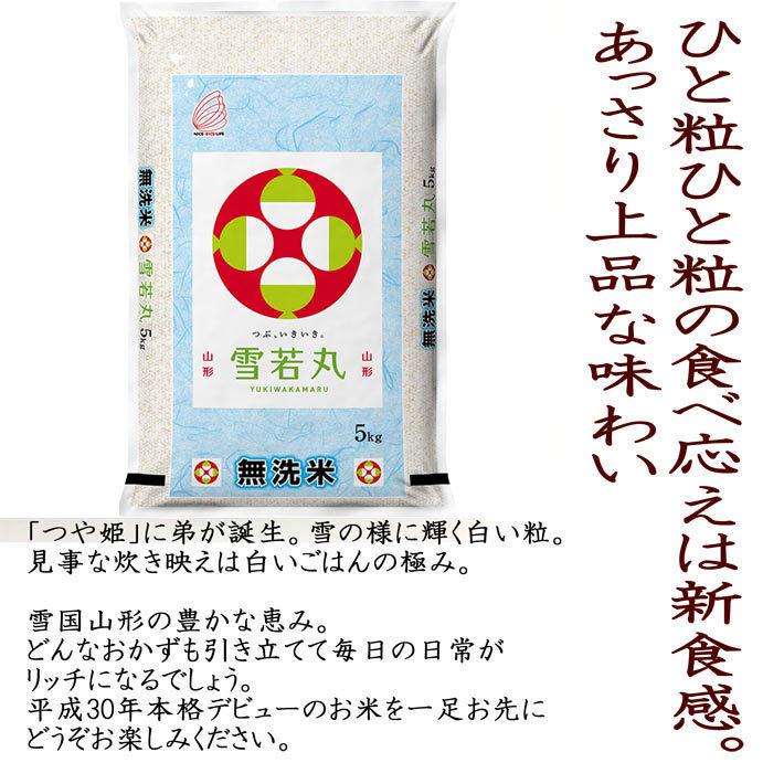 米 2023年度 令和5年度産 5kg 無洗米 雪若丸 山形県産 BG無洗米 東北食糧 送料無料