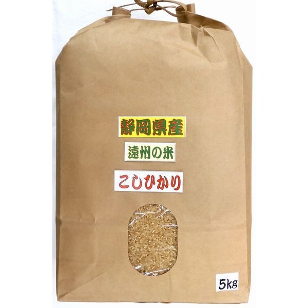 令和５年産 静岡県産 遠州のこしひかり (玄米) 5kg　精米無料