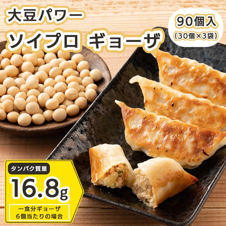  大豆パワー ソイプロギョーザ 送料無料 冷凍便 冷凍餃子 大豆ミート 餃子 ぎょうざ 大豆 ソイミート グルメ 食品 惣菜