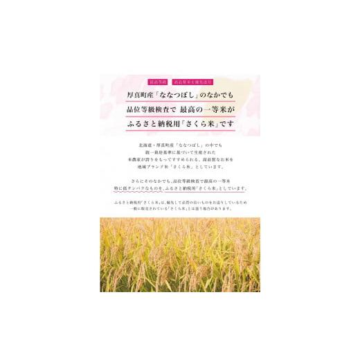 ふるさと納税 北海道 厚真町 《令和5年度産 新米》13年連続特A受賞　北海道あつまのブランド米　毎月10kgコース