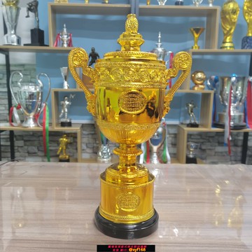 {保固一年 可打統編}澳網美網溫網法網獎杯費德勒球迷裝飾納達爾網球周邊擺件紀念品