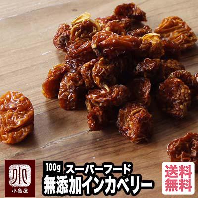 ドライフルーツ ゴールデンベリー インカベリー コロンビア産 100g 砂糖不使用 完全 無添加 スーパーフード