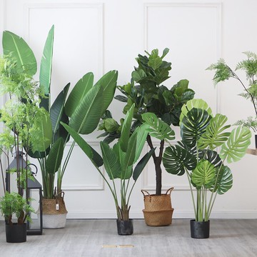 1盆栽擺件客廳大型仿真植物美人蕉龜背樹室內綠植北歐ins裝飾盆景