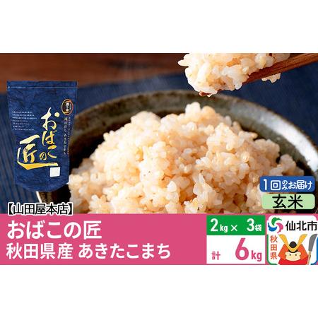 ふるさと納税 令和5年産 仙北市産 おばこの匠 6kg（2kg×3袋）秋田こまち 秋田県仙北市