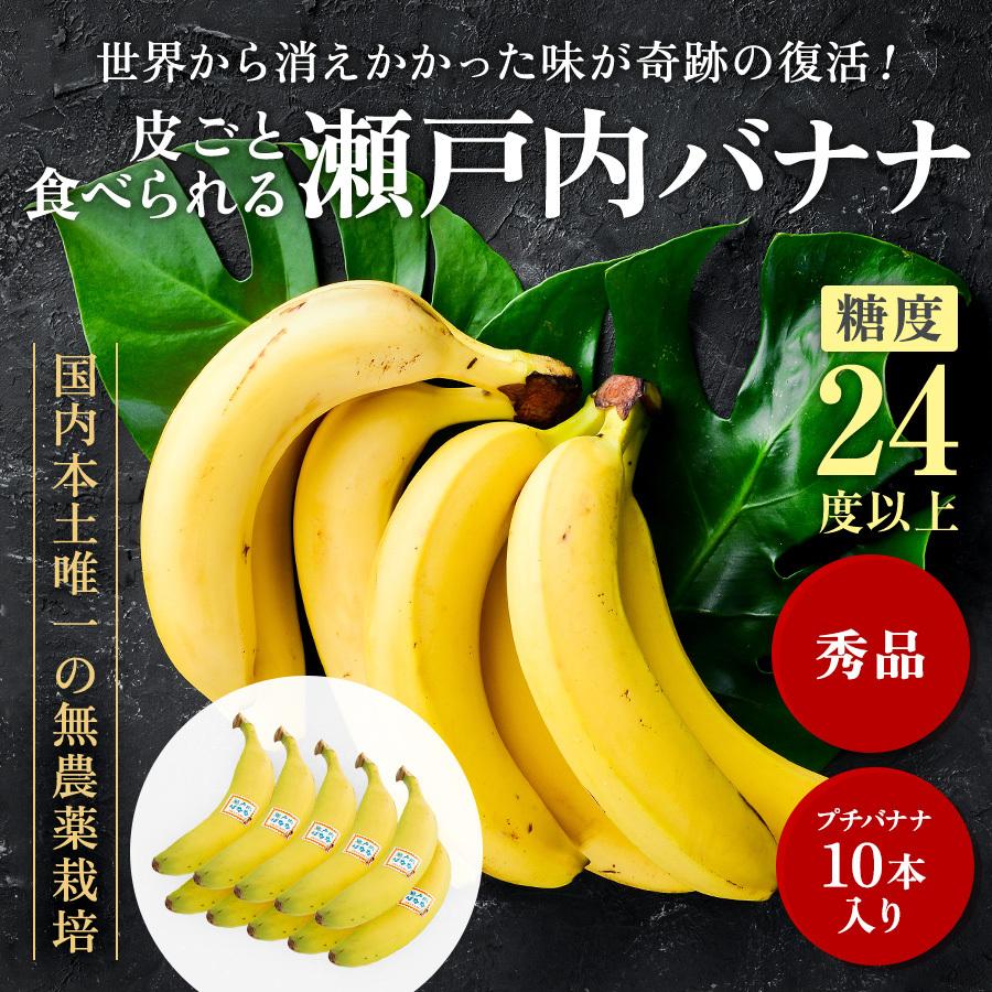 瀬戸内バナナ バナナ フルーツ 無農薬 岡山県産 特秀 10本入り箱 国産 送料無料 産地直送 希少 フルーツギフト