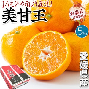 美甘王 みかん 贈答用 5kg M又はLサイズ 1箱愛媛県産 高糖度ブランドみかん お歳暮ギフトにも