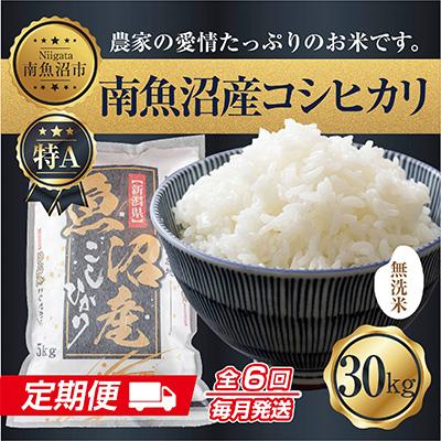 ふるさと納税 南魚沼市 無洗米 南魚沼産 コシヒカリ お米 30kg 精米 (美味しい炊き方ガイド付)全6回