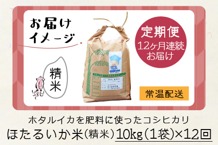 ほたるいか米（精米10kg）×12回 計120kg