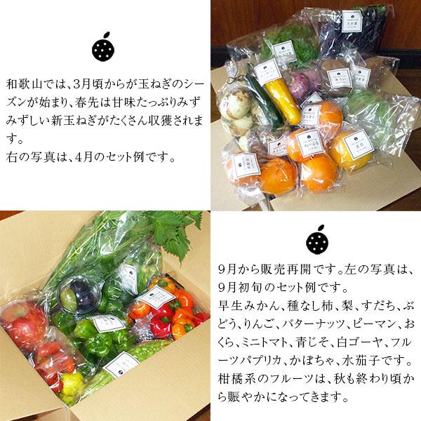 和歌山より産地直送！ おまかせ野菜とフルーツセット 12種類以上［送料無料］■期日指定不可・発送翌日受取限定：お届け時間帯にご注意ください■