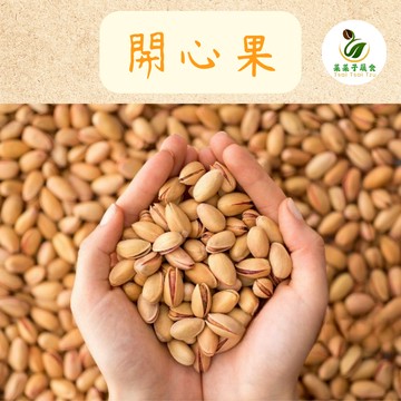 【菜菜子蔬食】 開心果 250g  自然開口