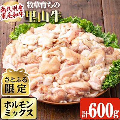 ふるさと納税 志布志市 南九州産牧草育ちの里山牛 ホルモンミックス計600g(200g×3パック)