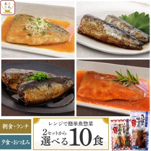 レトルト 惣菜 おかず 魚 さば いわし 煮魚 焼き魚 セット で 選べる 10食 詰め合わせ  YSフーズ レトルト