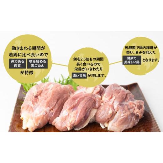 ふるさと納税 岐阜県 飛騨市 鶏肉 むね肉 2kg (4パック)飛騨地鶏 地鶏 鶏むね肉 ムネ肉 小分け