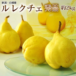 『ル レクチエ（秀品）』新潟県白根産 西洋梨 約2kg（6～7玉）化粧箱入 ※常温 送料無料