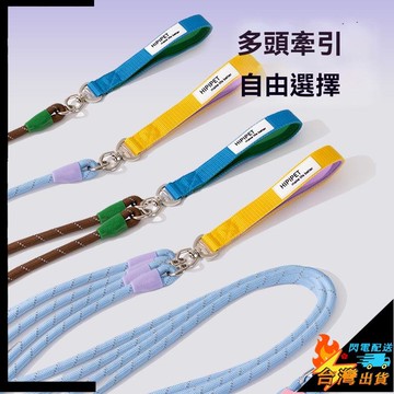 【台灣出貨】狗狗牽引繩 寵物遛狗繩子 狗鏈 p繩 p鏈 中大型犬 防爆衝 防走丟 解放雙手 多功能牽引繩 寵物牽引繩