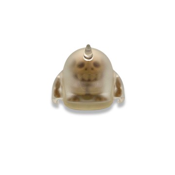 透視解剖獨角恐龍 - 淺褐色