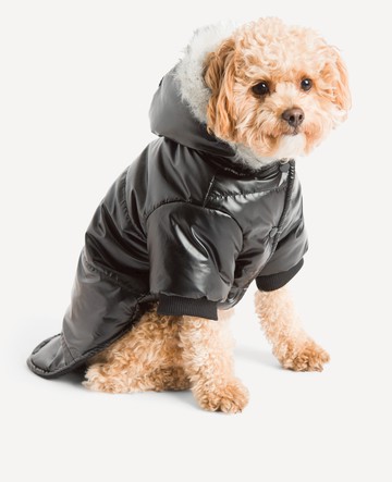 Kenneth Cole | Metallic Hooded Puffer Dog Coat in Black