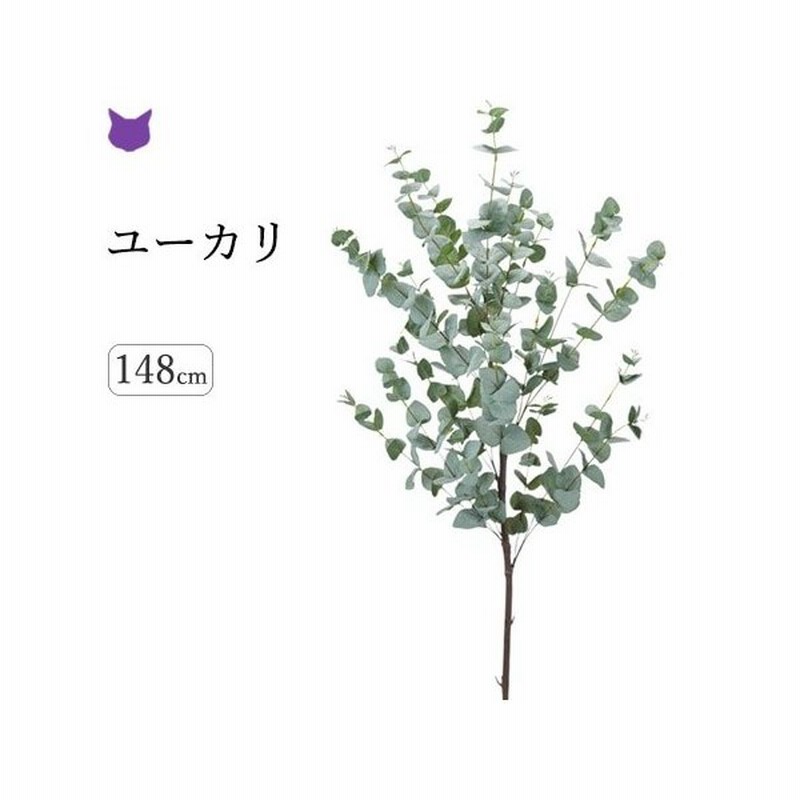 ユーカリ フェイク グリーン 観葉植物 造花 種類 葉 1m 2m インテリア 枝 もの 枝物 きり枝 木の枝 色 おしゃれ 花材 アスカ Asca 通販 Lineポイント最大0 5 Get Lineショッピング