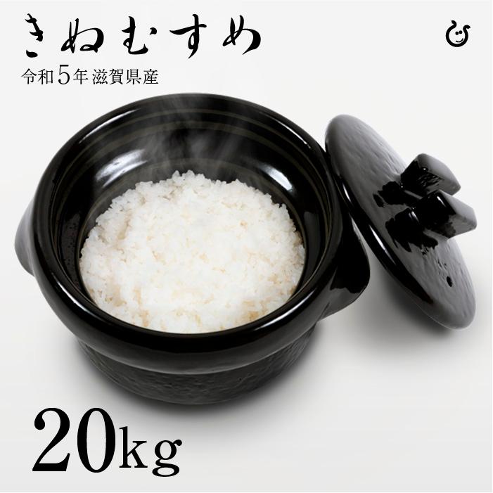 新米 きぬむすめ 白米 玄米 20kg 令和5年 滋賀県産 米 お米 送料無料 100