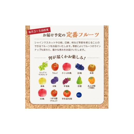 ふるさと納税 山梨県 富士吉田市 旬のお任せフルーツボックス定期便（8月・9月） 果物 くだもの シャインマスカット 山梨県産 桃 旬 モモ シャイン…