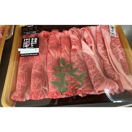 ふるさと納税 佐賀牛霜降りスライス（肩ロース600g）（3月配送） 佐賀県玄海町