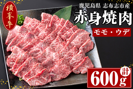 鹿児島県志布志市産(国産交雑種) 横峯牛の赤身焼肉(600g×1P) b0-165