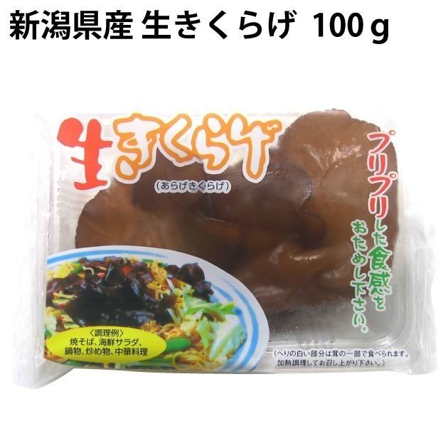 きのこ　生きくらげ　15パック　送料込