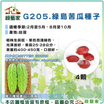 【綠藝家】G205.綠島苦瓜種子4顆(產地台灣)有藥劑 F1 果長25約公分，果重約400-450克 植株生長