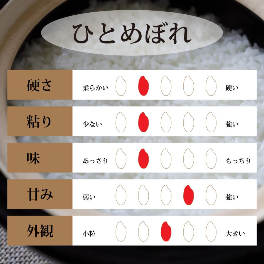 玄米 ひとめぼれ 3kg 石川県産 3キロ 令和5年産 新米