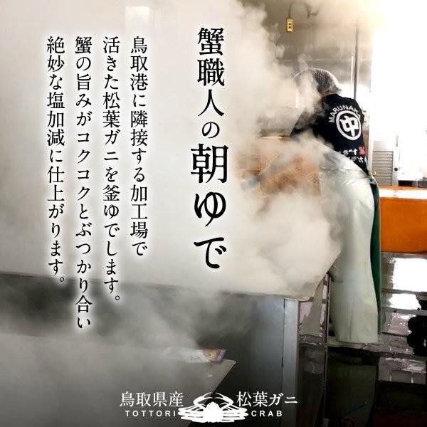 松葉ガニ 松葉蟹 訳あり［B大］700g×2尾 ゆで蟹 ボイルまつばがに 足折れ 新物 鳥取県産 浜茹で マツバガニ ズワイガニ［お歳暮 2023 ギフト 御歳暮］