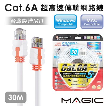 CAT.6A 超高速傳輸網路線(圓線)-30M