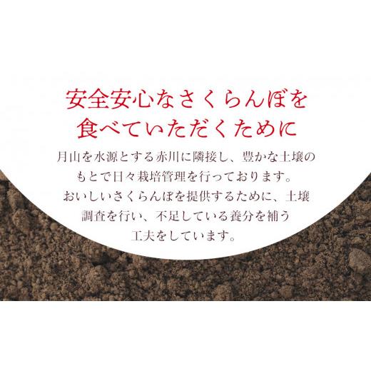 ふるさと納税 山形県 鶴岡市 さくらんぼ 佐藤錦 バラ詰め M〜Lサイズ混合 1kg 庄内さくらんぼ園