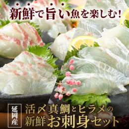 豪華白身の饗宴！延岡産活〆真鯛とヒラメの新鮮お刺身セット　N019-ZB809　請関水産