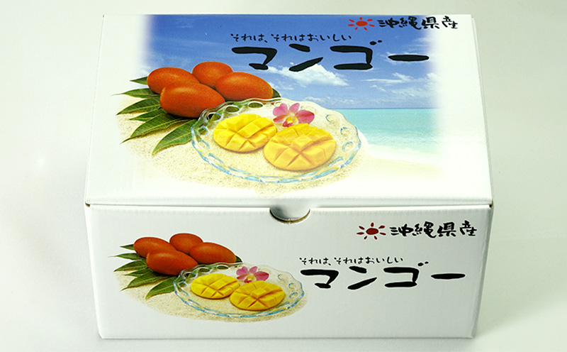 沖縄市　完熟マンゴー（小）約1kg　化粧箱・秀品