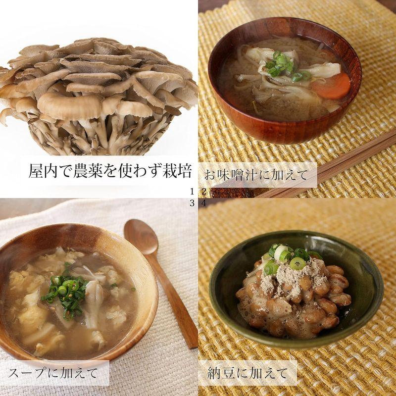 自然健康社 まいたけ粉末 100g×10個 パウダー 舞茸茶