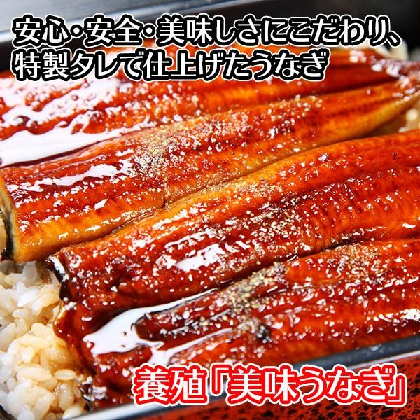 御歳暮 うなぎ 蒲焼き 120g 2尾 鰻 ギフト セット ウナギ プレゼント 海鮮 食べ物 土用の丑の日