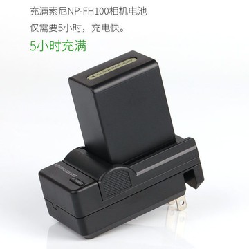 【台灣公司 可打統編】索尼攝像機DCR-SR300 SR45E SR46E SR47E SR48E SR62E電池充電器 d7283