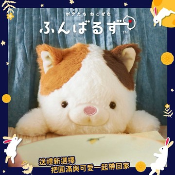 開學送萌禮，上學也有好心情യ｜【坐姿伴偶】Dreams Posture Pal 坐姿伴偶 第二彈 三花貓