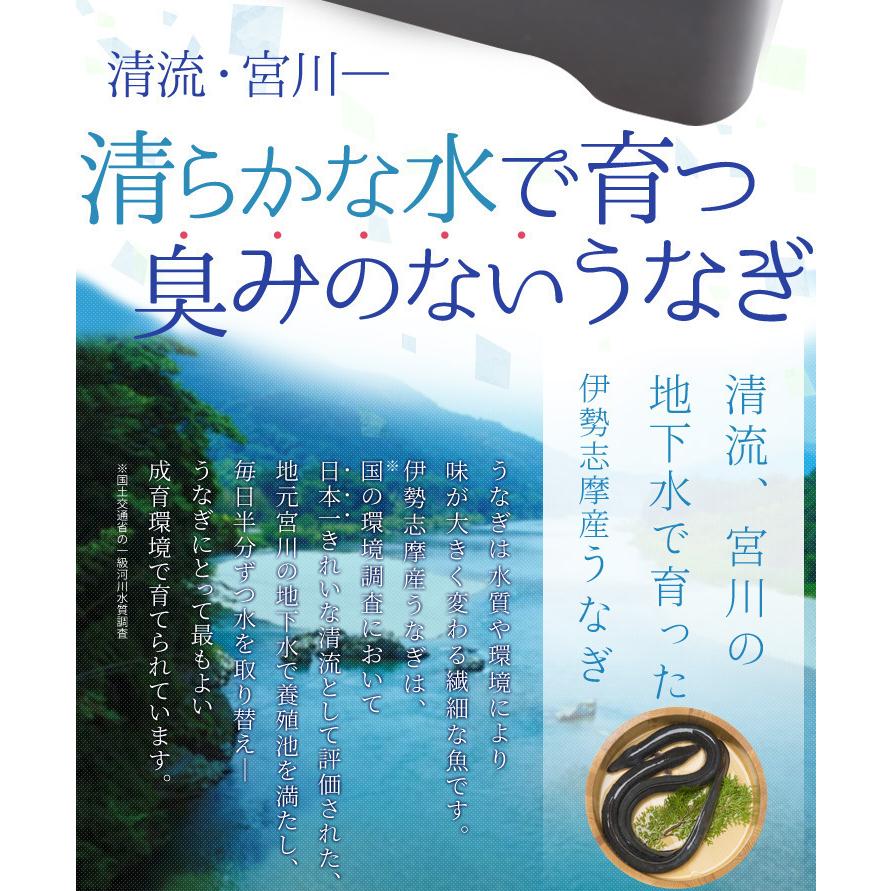 うなぎ 伊勢志摩産 たれ 特大サイズ １尾 たれ付 送料無料 国産 ウナギ 鰻 蒲焼き 丑の日 個包装 冷凍 化粧箱入 お歳暮 ギフト