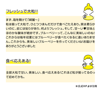 7月～9月発送 甘み際立つ、完熟大粒ブルーベリー 500g（250g×2パック）