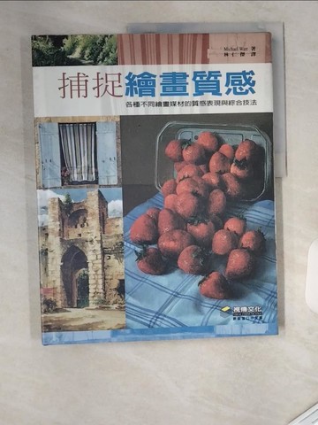 【書寶二手書T8／藝術_T4P】捕捉繪畫質感_MICHAEL WARR, 林仁傑