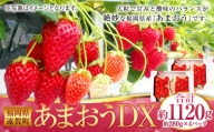 あまおうDX 約280g×4パック