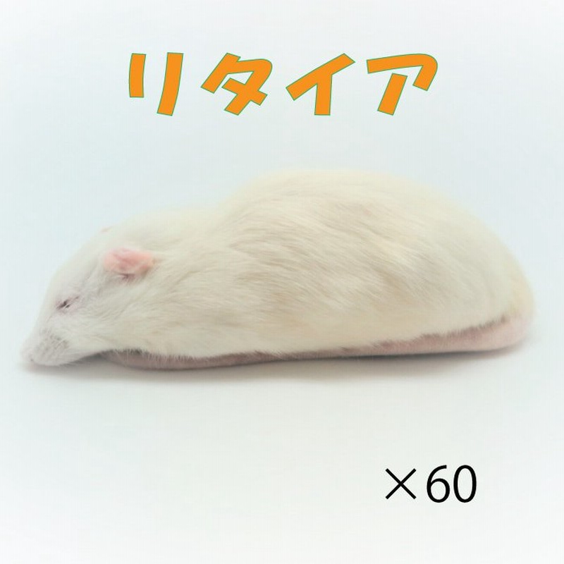 乾燥ミルワーム100g ハムスター フクロモモンガ ハリネズミ 小動物