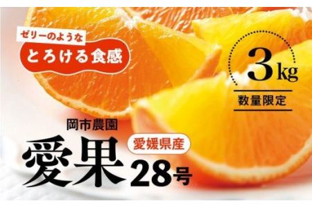 ＼農園直送／愛媛県産 愛果28号 3kg×1箱 限定50箱◆ ※2023年12月中旬頃～2024年1月中旬頃に順次発送予定